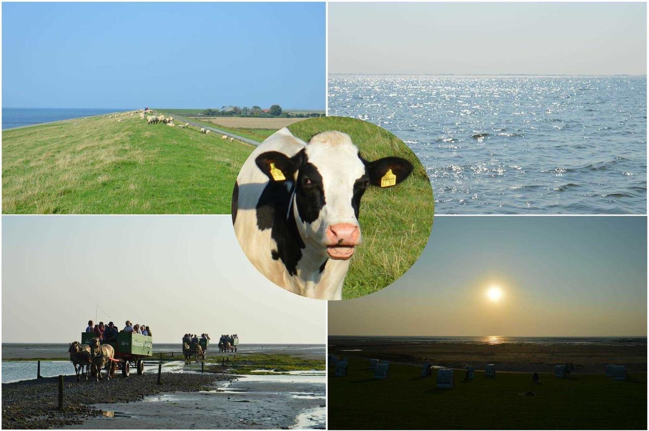 Ferienwohnungen Im Womoland Auf No Nordstrand Buitenkant foto