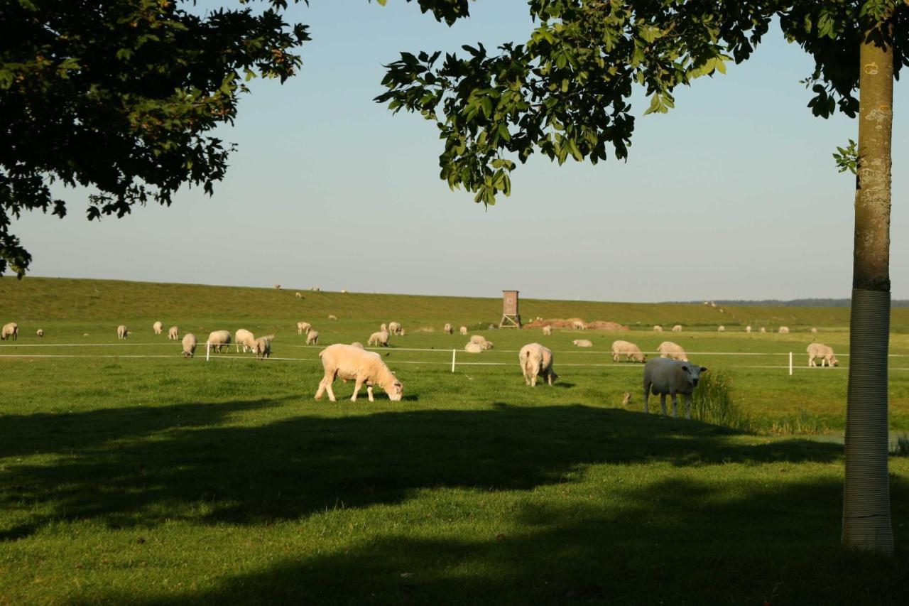 Ferienwohnungen Im Womoland Auf No Nordstrand Buitenkant foto